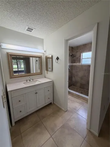 Master bathroom sink and full bath