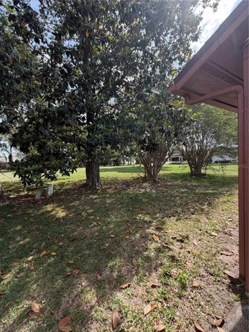 Private back yard