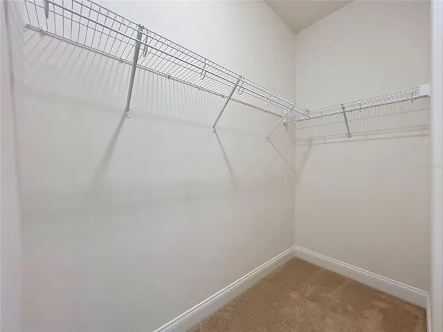 Bedroom #5 Walk in closet