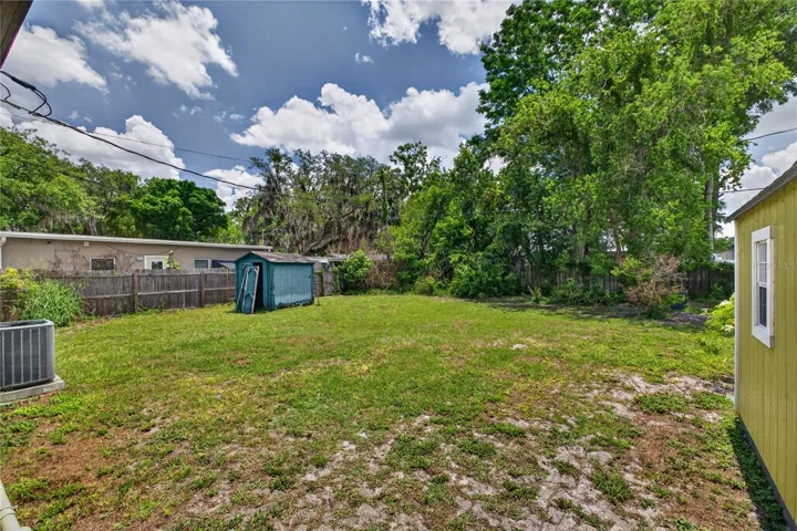 Backyard