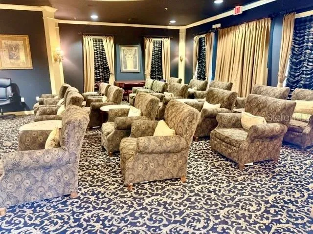Theatre room