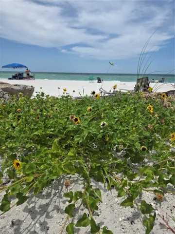 Bradenton Beach is 8 miles away!