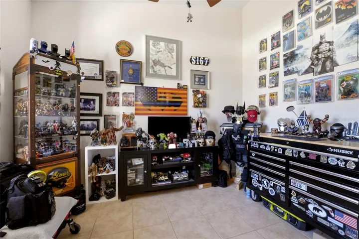Den/Man Cave
