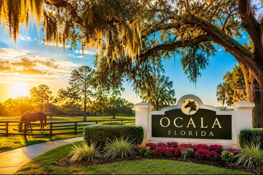 Ocala is House Capital of the World(Partially virtually staged