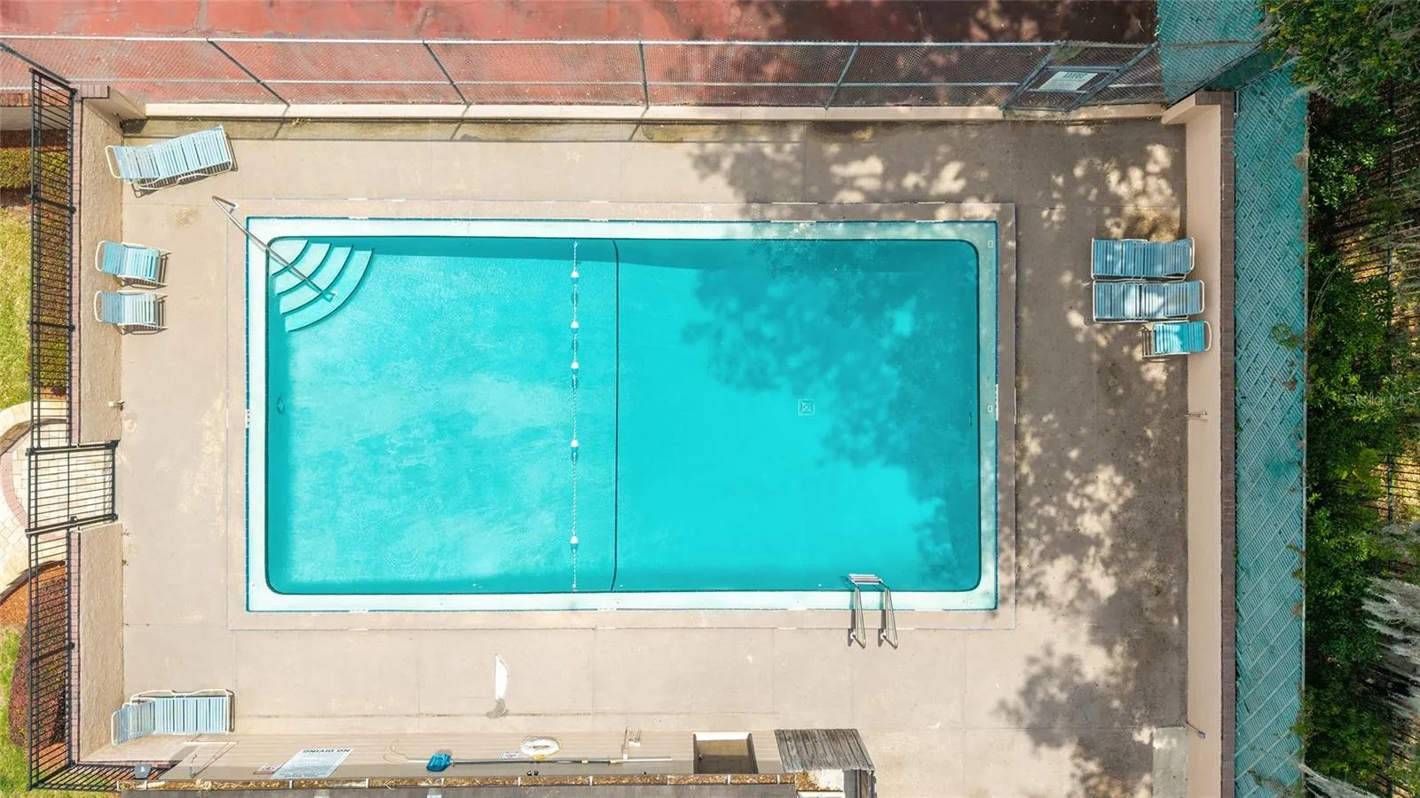 Look at the size of this pool. Swim laps daily