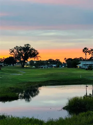 Beautiful Skies over the pond
