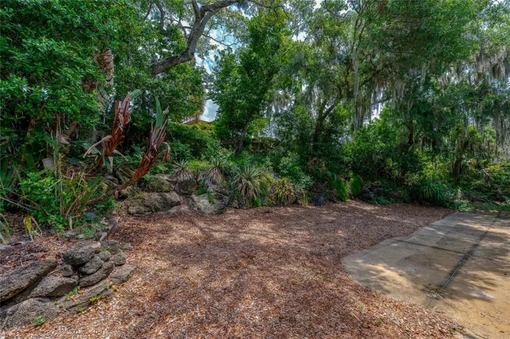 Tranquil and unique backyard
