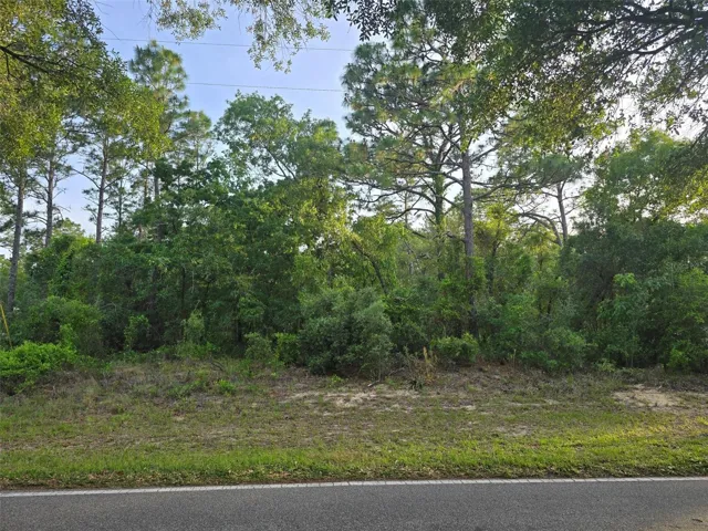 Lot Frontage