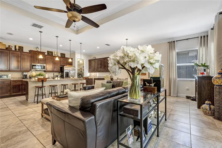 Living - Great Room Area