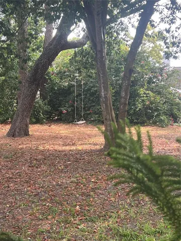 View from back bedroom window