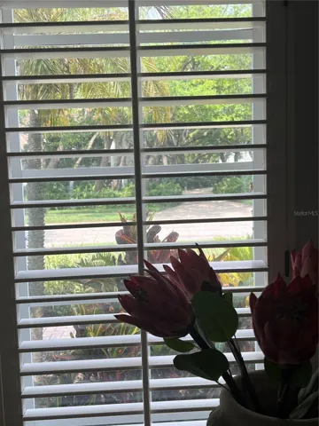 View from entry window
