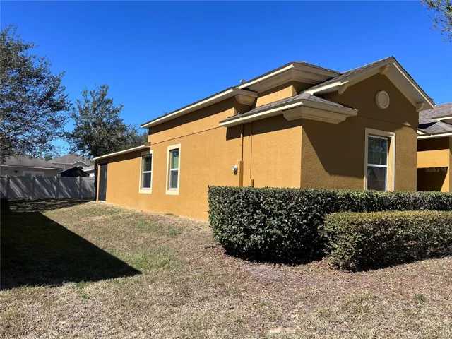 Left side