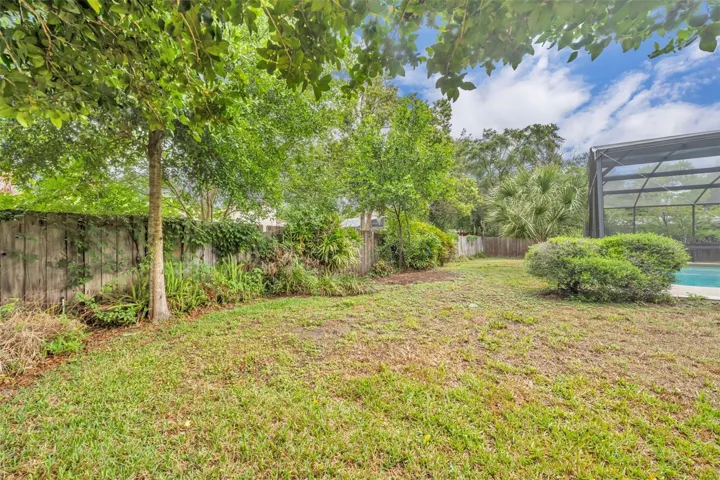 Backyard