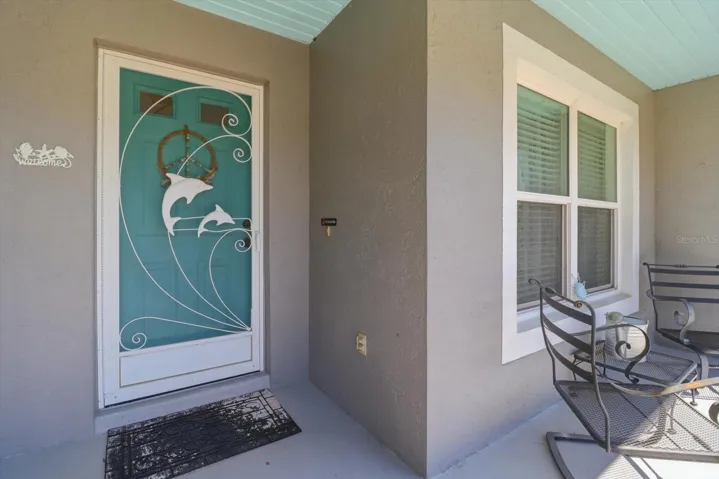 Decorative Storm Door