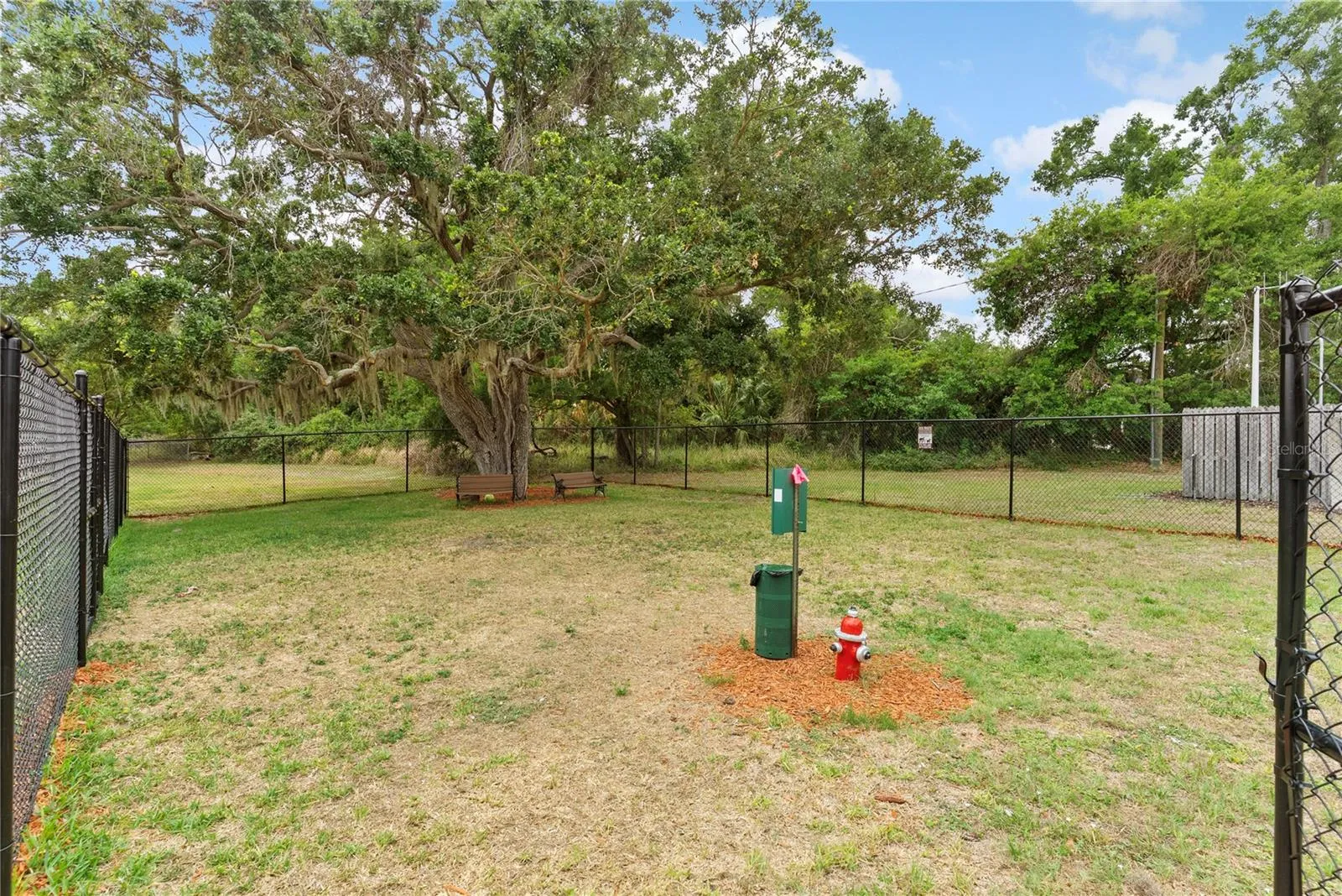 DOG PARK