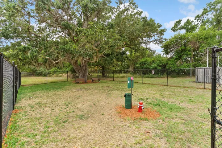 DOG PARK
