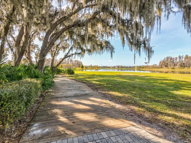Walking trails