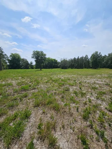 AI Enhanced to remove burn pile.