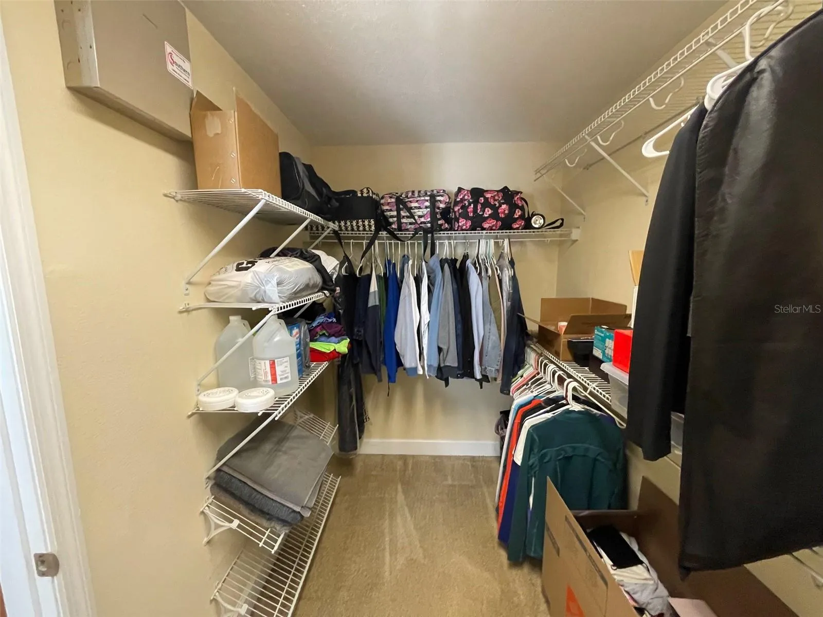 primary walk-in-closet