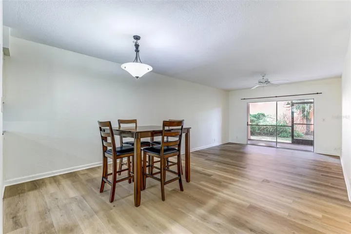 Dining/Living Room