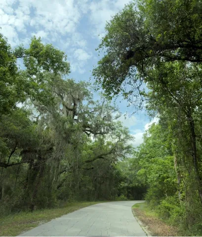 Beautiful drive to this property