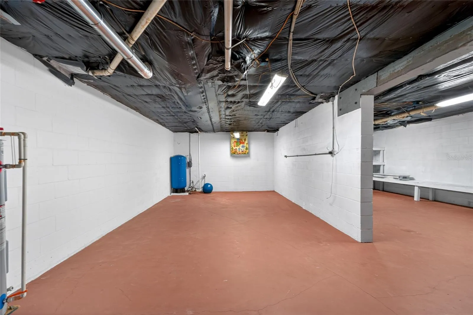 Unfinished Basement
