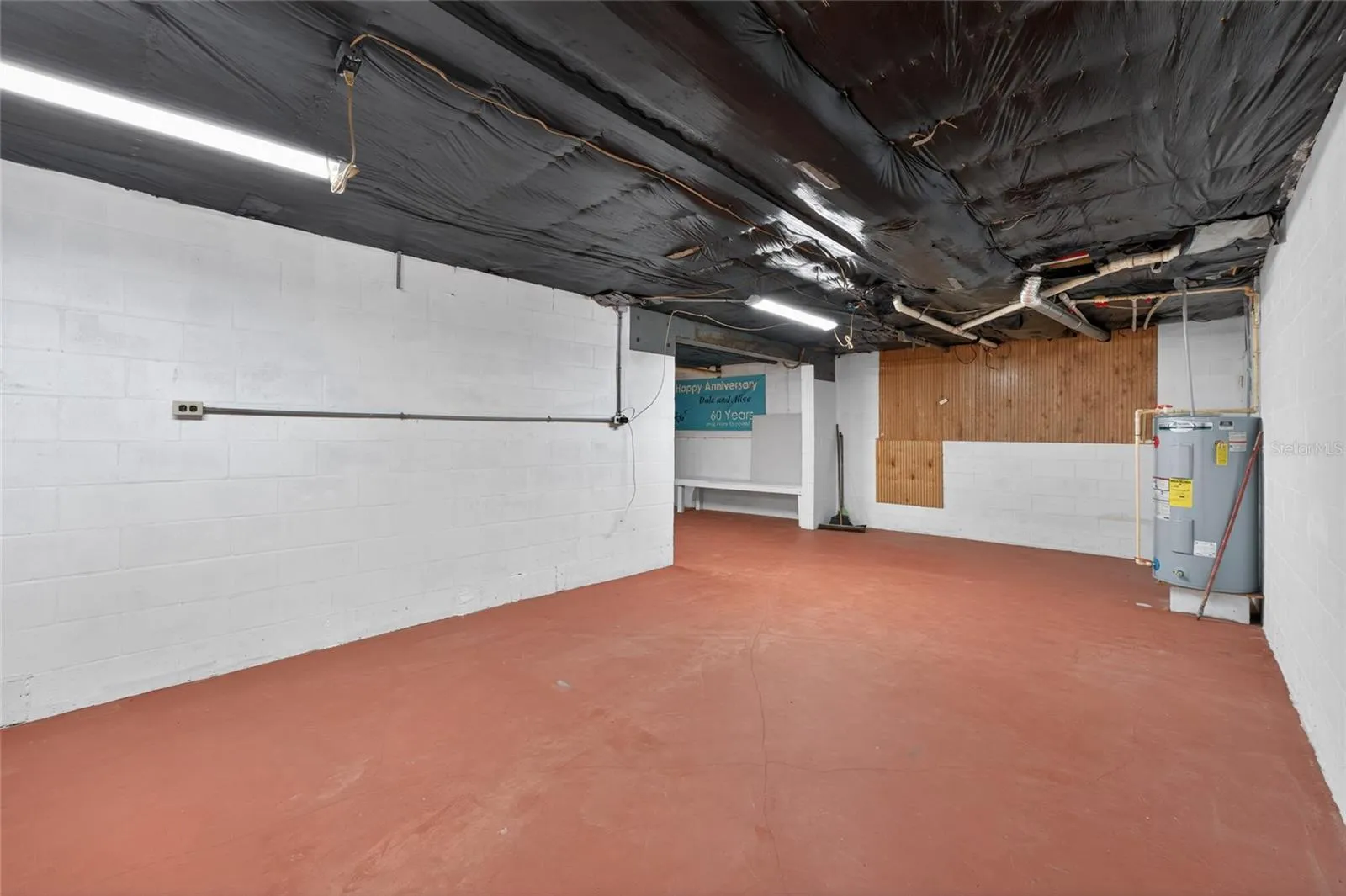 Unfinished Basement