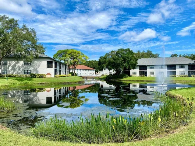 Another view of pond