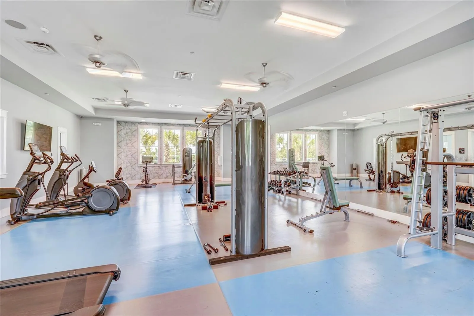 Full Gym
