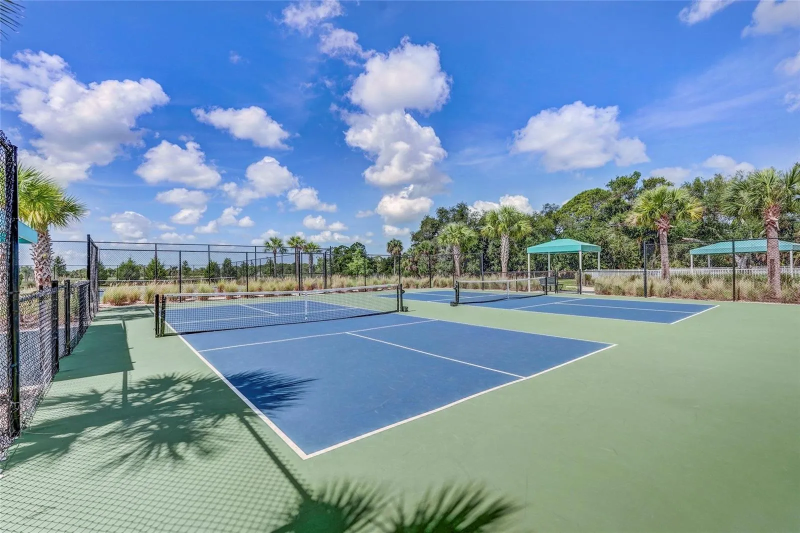 New Courts surfaces