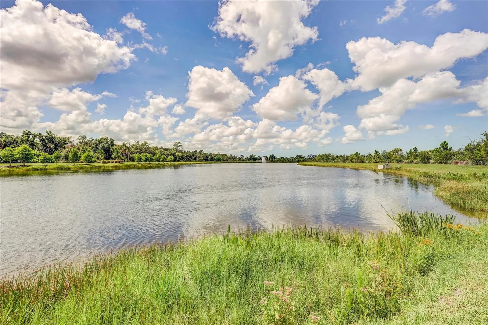 Lake Views