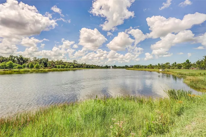 Lake Views