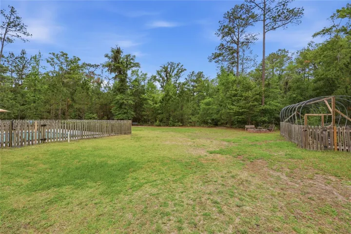 Side yard and garden