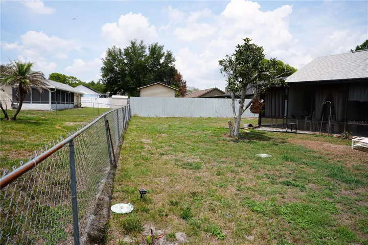 Backyard