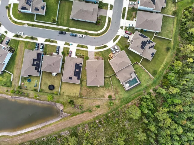 Ariel View