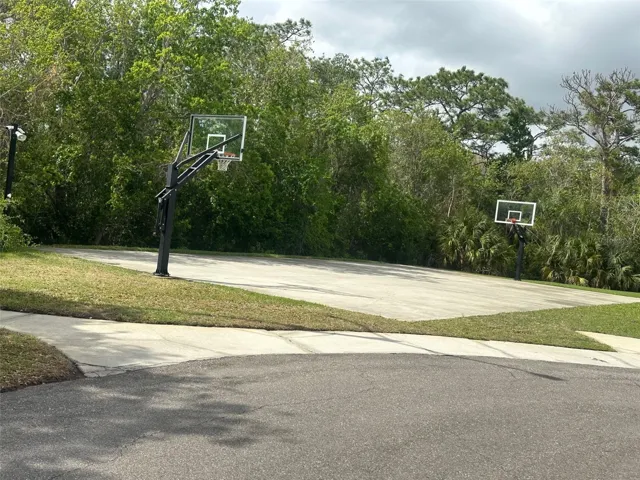 BASKETBALL COURT