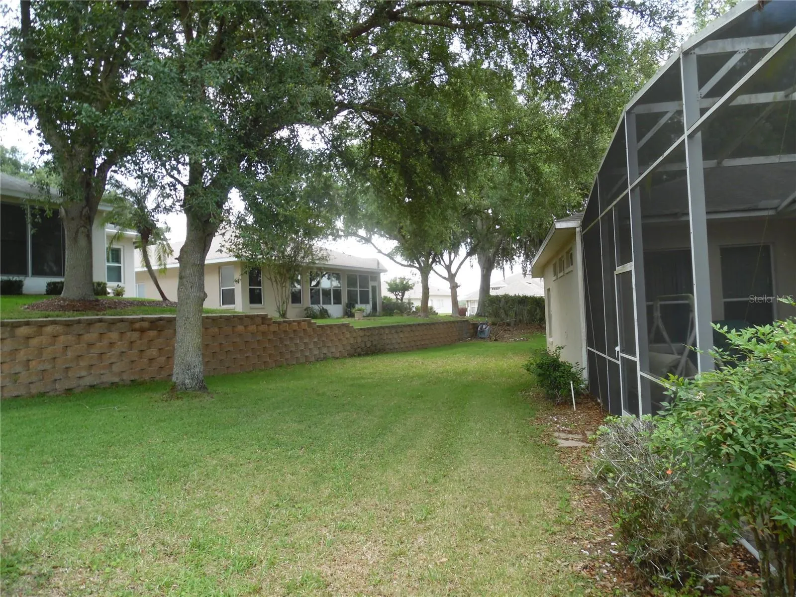 Back yard