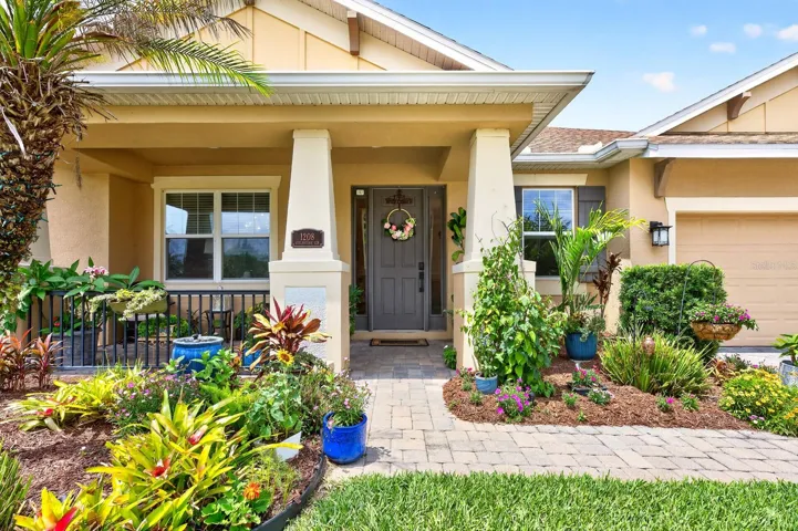 Curated landscaping and lightscaping.