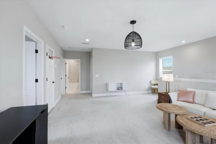 LARGE loft