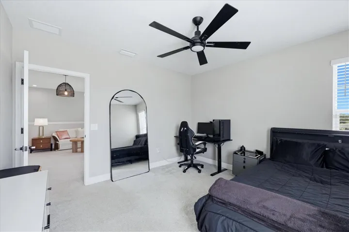 Bedroom #3 (walk-in closet)