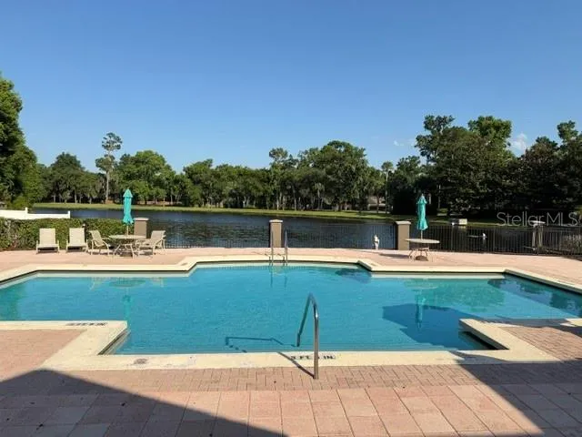 Pool and pond
