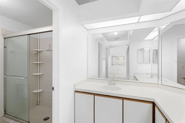 Primary Bathroom Shower and Sink