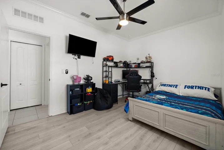 Modern Ceiling Fans