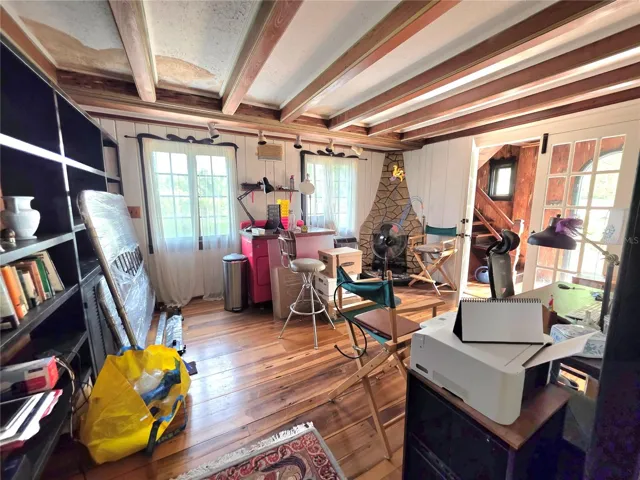 Library with fireplace