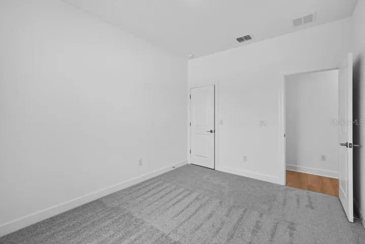 3816 Immacolata ~ Ready Now