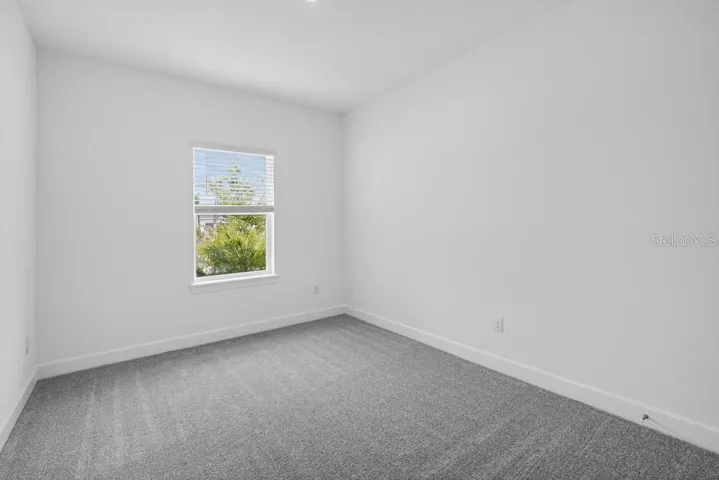 3816 Immacolata ~ Ready Now