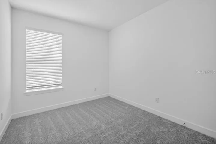 3816 Immacolata ~ Ready Now