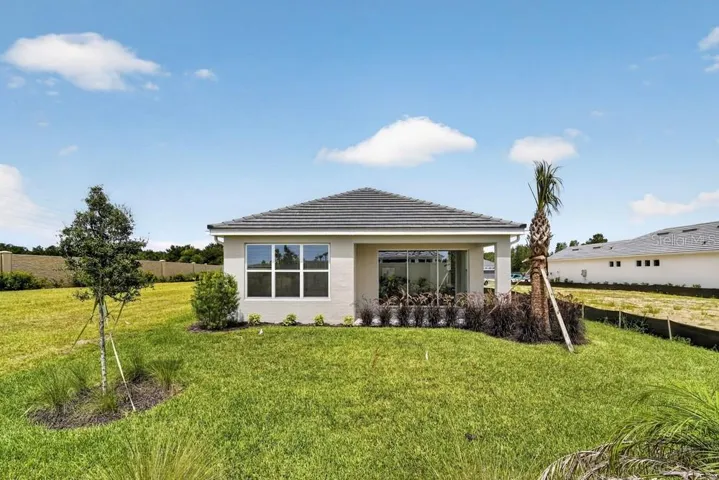 3816 Immacolata ~ Ready Now