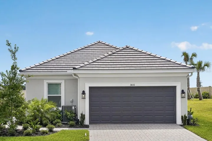 3816 Immacolata ~ Ready Now