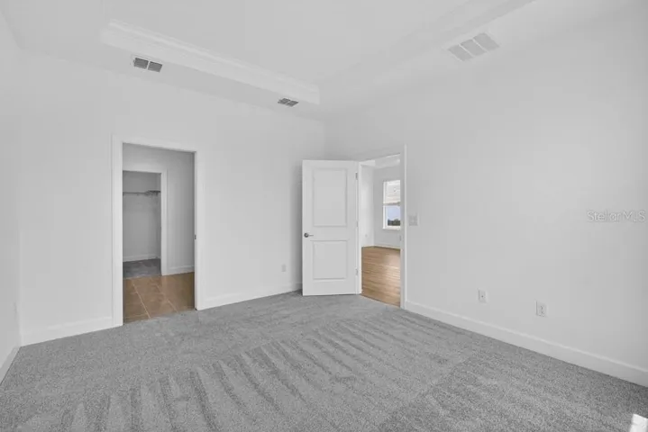 3816 Immacolata ~ Ready Now